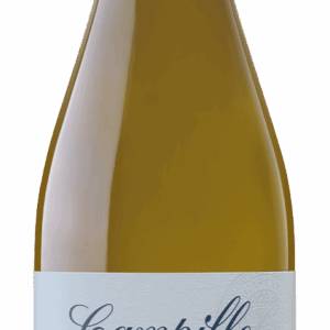 Botella de vino blanco Campillo Albariño de 75 cl D.O. Rías Baixas